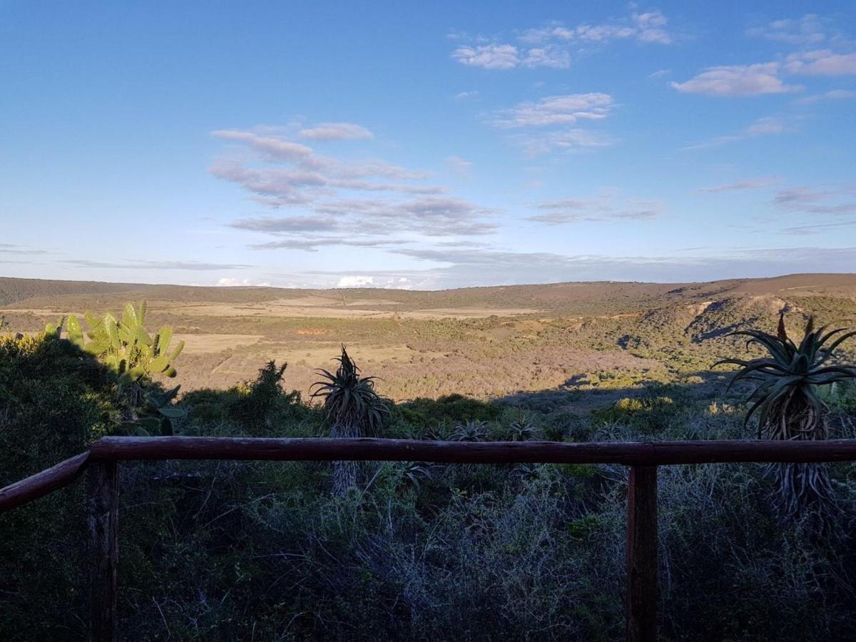 Camp Acacia Villa Paterson Eksteriør bilde
